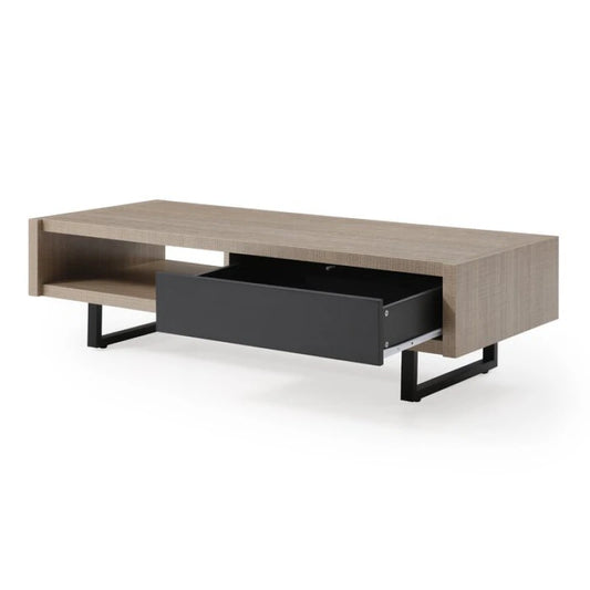 Modern Coffee Table with Storage | P217