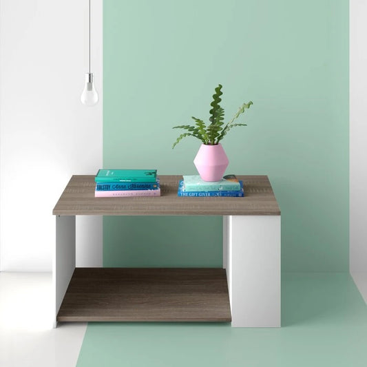 Contemporary Coffee Table with Storage | P206